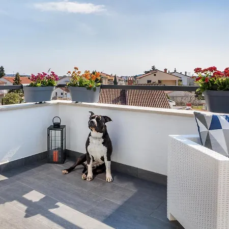 Apartman Nina Fazana Exterior photo